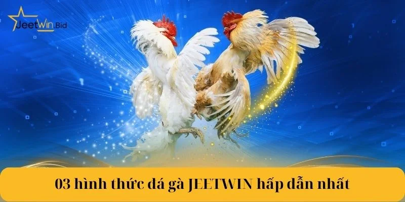 Tuyển tập loại hình đá gà Jeetwin được nhiều người yêu thích nhất.