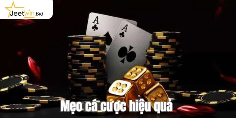 Mẹo cá cược giúp tân thủ bước vào bàn chơi tự tin.