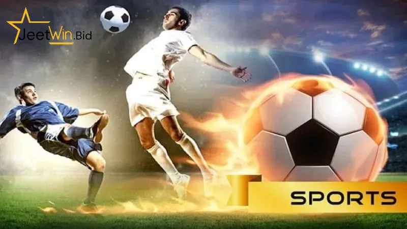 Chuyên mục cá cược thể thao Jeetwin và các thông tin cơ bản.